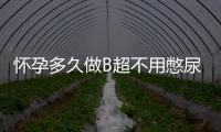 怀孕多久做B超不用憋尿呢