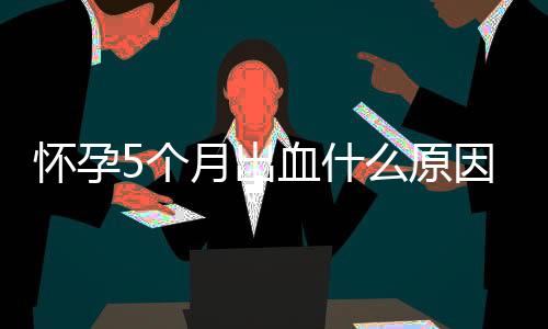 怀孕5个月出血什么原因？