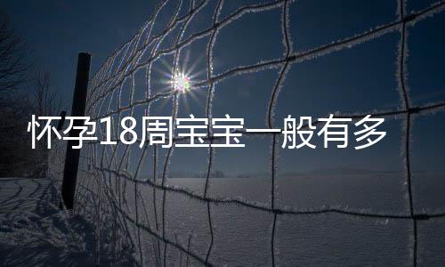 怀孕18周宝宝一般有多大