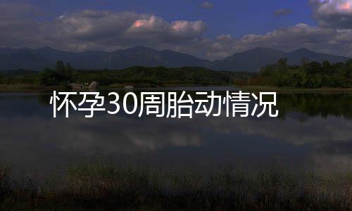 怀孕30周胎动情况