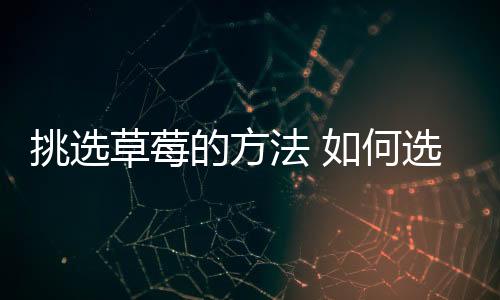 挑选草莓的方法 如何选购草莓?