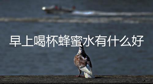 早上喝杯蜂蜜水有什么好处呢