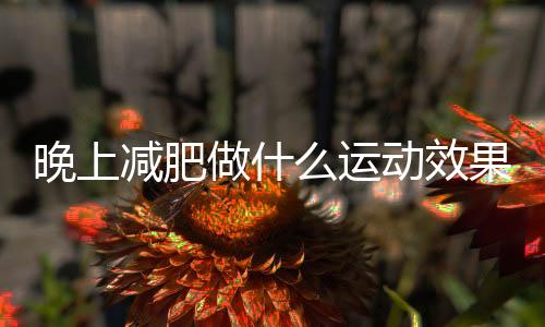 晚上减肥做什么运动效果好?