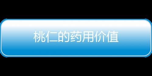 桃仁的药用价值