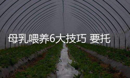 母乳喂养6大技巧 要托好乳房