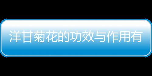 洋甘菊花的功效与作用有哪些