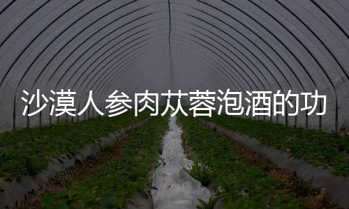 沙漠人参肉苁蓉泡酒的功效