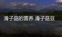 滑子菇的营养 滑子菇豆腐羹的做法