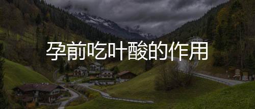 孕前吃叶酸的作用