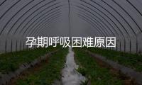 孕期呼吸困难原因