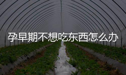 孕早期不想吃东西怎么办？