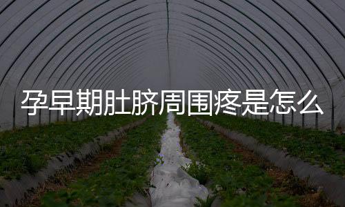 孕早期肚脐周围疼是怎么回事