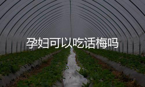 孕妇可以吃话梅吗