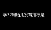 孕32周胎儿发育指标是什么