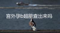 宫外孕b超能查出来吗