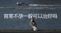 宫寒不孕一般可以治好吗