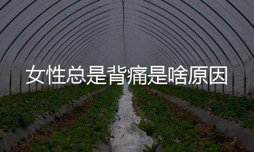 女性总是背痛是啥原因