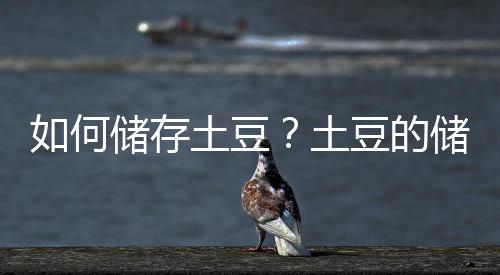 如何储存土豆?土豆的储存方法