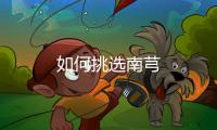 如何挑选南芎