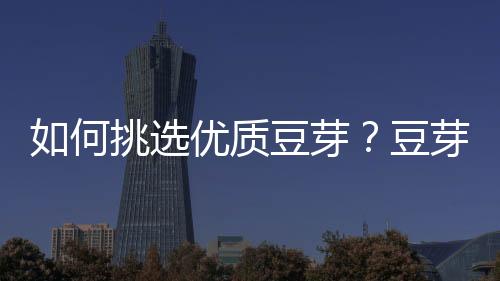 如何挑选优质豆芽?豆芽的挑选方法