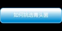 如何挑选青头菌