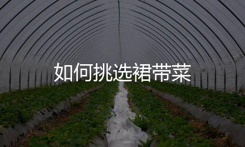 如何挑选裙带菜