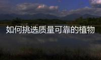 如何挑选质量可靠的植物油