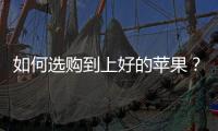 如何选购到上好的苹果？