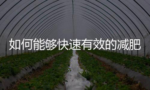 如何能够快速有效的减肥?