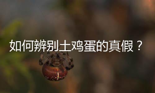 如何辨别土鸡蛋的真假？土鸡蛋的辨别方法
