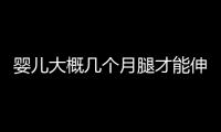 婴儿大概几个月腿才能伸直呢？
