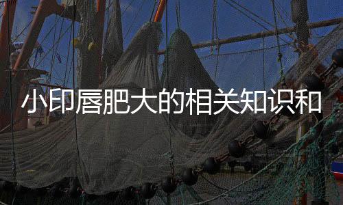 小印唇肥大的相关知识和治疗方法介绍