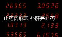 山药肉麻圆 补肝养血药膳