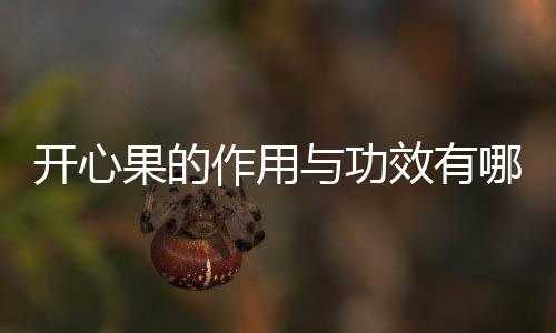 开心果的作用与功效有哪些