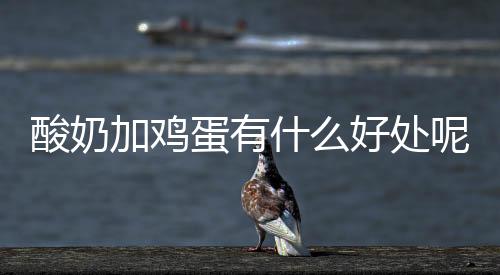 酸奶加鸡蛋有什么好处呢？