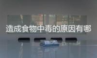 造成食物中毒的原因有哪些？