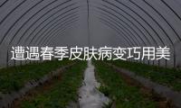 遭遇春季皮肤病变巧用美容膳食方