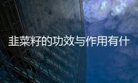 韭菜籽的功效与作用有什么