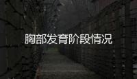 胸部发育阶段情况