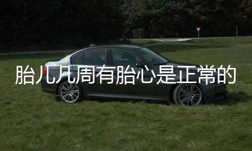 胎儿几周有胎心是正常的