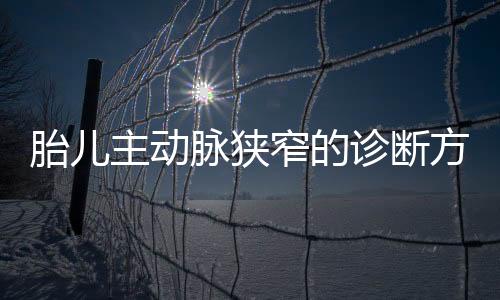 胎儿主动脉狭窄的诊断方法