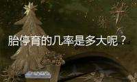胎停育的几率是多大呢？