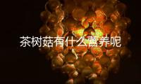 茶树菇有什么营养呢