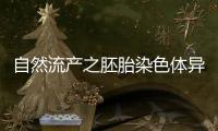 自然流产之胚胎染色体异常情况
