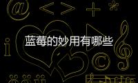 蓝莓的妙用有哪些