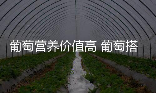 葡萄营养价值高 葡萄搭配其它水果做成果汁风味独特