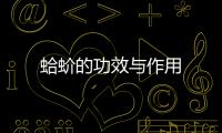 蛤蚧的功效与作用