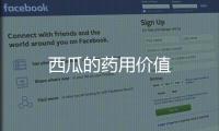西瓜的药用价值