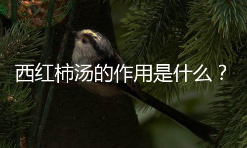 西红柿汤的作用是什么?