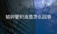 输卵管积液是怎么回事